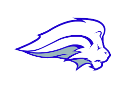 Nelson (Texas)