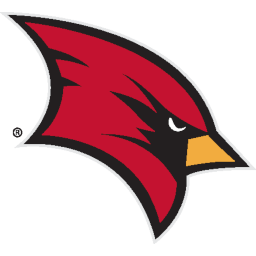 Saginaw Valley team logo
