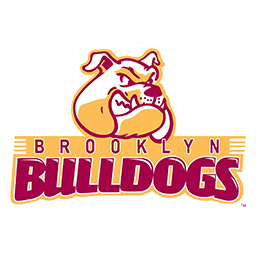 Brooklyn team logo